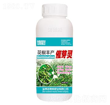 �����S�a��ѿ�`-�Z����