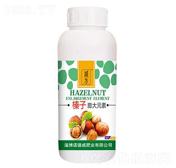 ������Ԫ��-�Z����