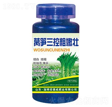 �n�S���ش��ۉ�-�Z����