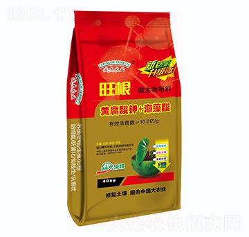 �S�����+������-����-�G�����r(n��ng)