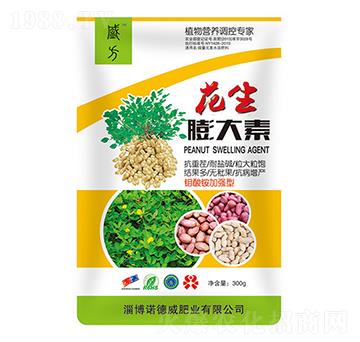 ���������-�Z����