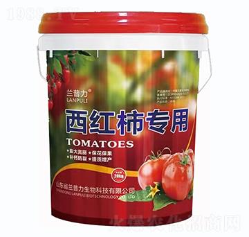 ���t������-�m����