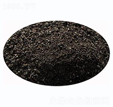 ԭ��-����