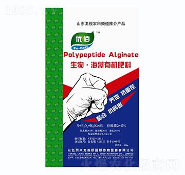 ��������ЙC����-����