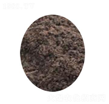 ��̿��-�s�S����