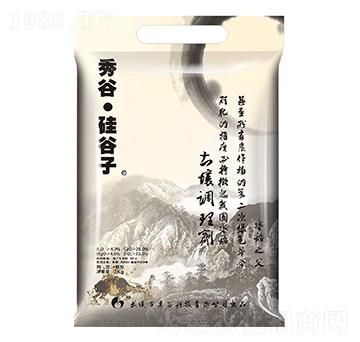 �����{�턩-��ȹ����-�����r�I(y��)