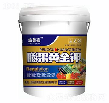 ����S���-ʩ����