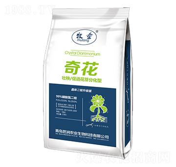 �������@-�滨-�ŝ�(r��n)