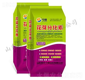 ��ѿ�ֻ���-���r(n��ng)��