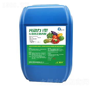 5-������������-���(d��ng)��I��-������