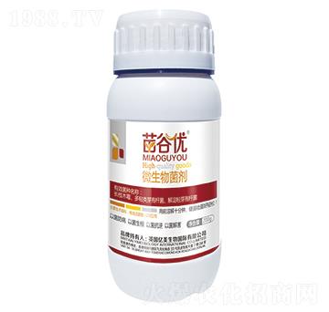 ��ȃ�(y��u)΢�������-�|������