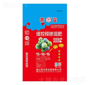 ��������ጓ������15-16-16-���S