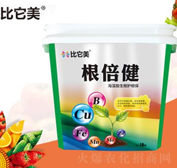 ������������-���{�r��