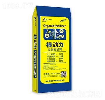 �����ЙC��-������-��������