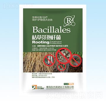 ���b�ݲ�ѿ�ߗU��-�|��Ӣ�Z