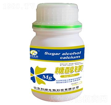 �Ǵ��V-��������