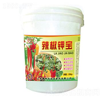 ����⛌�-��(r��n)�����