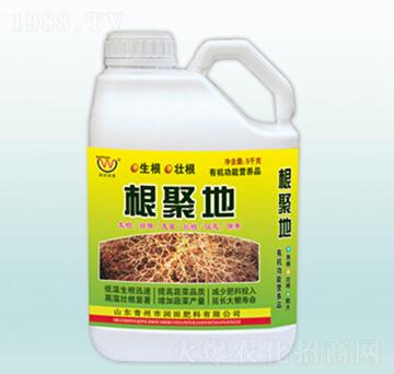 ����(j��)�؛_ʩ��-��(r��n)�����