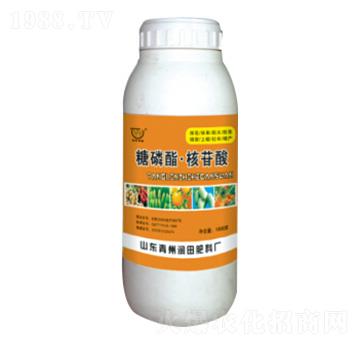 ����֬���������~���-