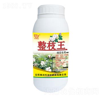 ��֦���~���-��(r��n)�����