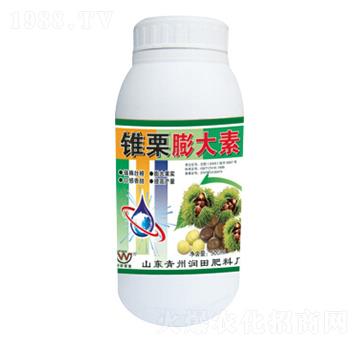 �F�������-��(r��n)�����