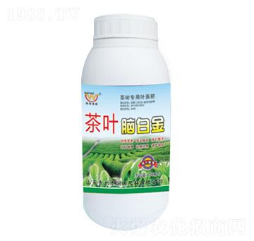 ƿ�b���~�X�׽�-��(r��n)���