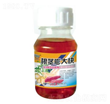 ���o����-��(r��n)�����