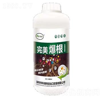 ��������-������