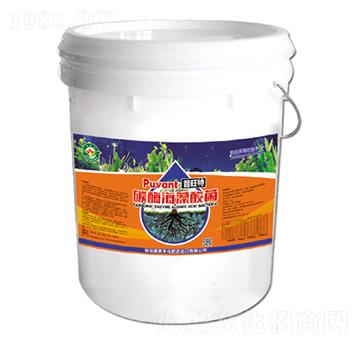 ̼ø�������-������-�W���S