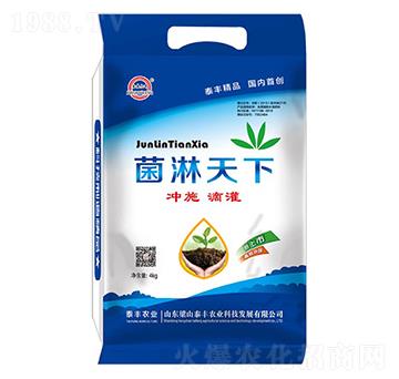 4kg��������-��ɽ̩