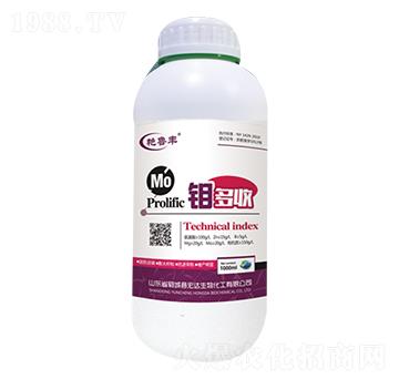 �f����-�G���S-���_��