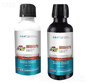 ���f�τ�-�G���S-���_����