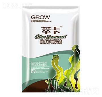 ø�⺣�徫-�Ϳ�-���S