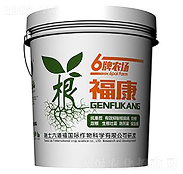 ������-������