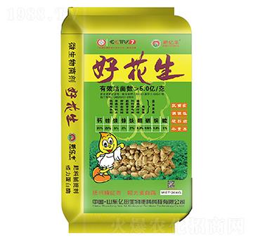 �û���-�|������