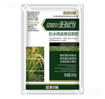 ����ь�-�����