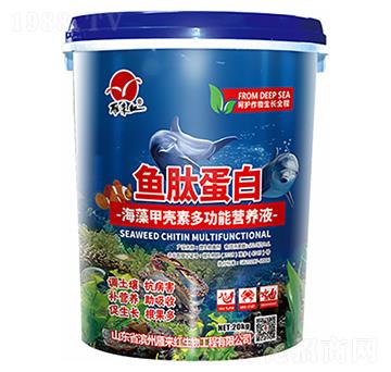 ����ך��ض๦�ܠI(y��ng)�B(y��ng)Һ-�~(y��)�ĵ���-���(l��i)�t