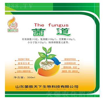 Һ�w΢�������-���R����