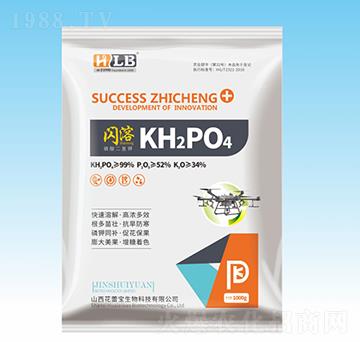 �W����������-���ٌ�����