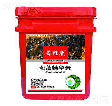 ���徫�A��-�վS��-ǧ������