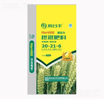 �������20-21-6-�׹��S-����S����