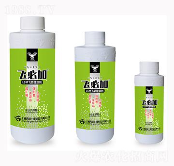 LSM�w����Ч��-�w�ؼ�-�����پG