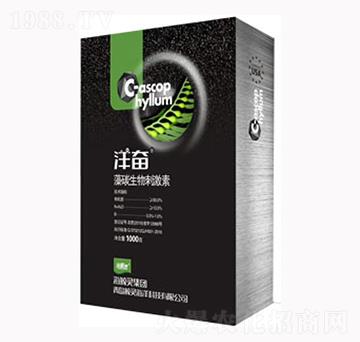 ��������̼���-��^-�L�`