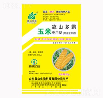 ���׌�(zhu��n)���Ͷ๦��������