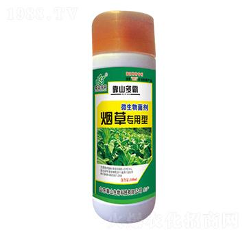 ���݌�(zhu��n)����΢�������-