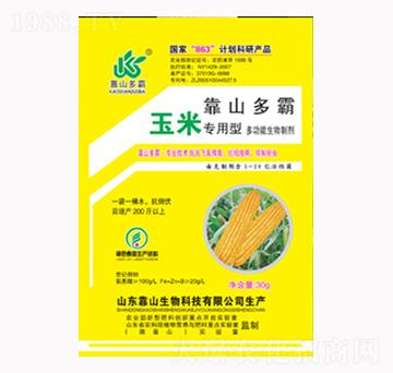 ���׌�(zhu��n)����-��ɽ����