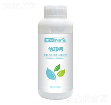 �{���}�~���-�ְ�ʘI(y��)