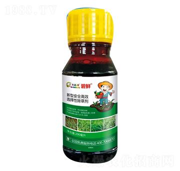 ���r��ѿ����]���݄���