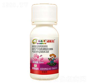 �����˻�ľ��򻄩-���