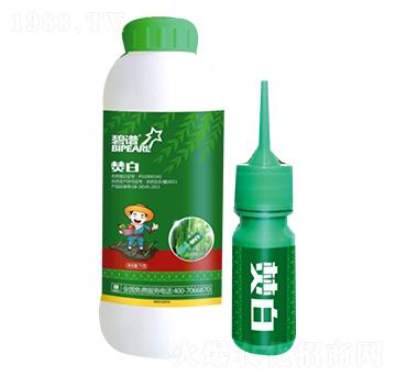 20%��ù��-�ٰף�ע